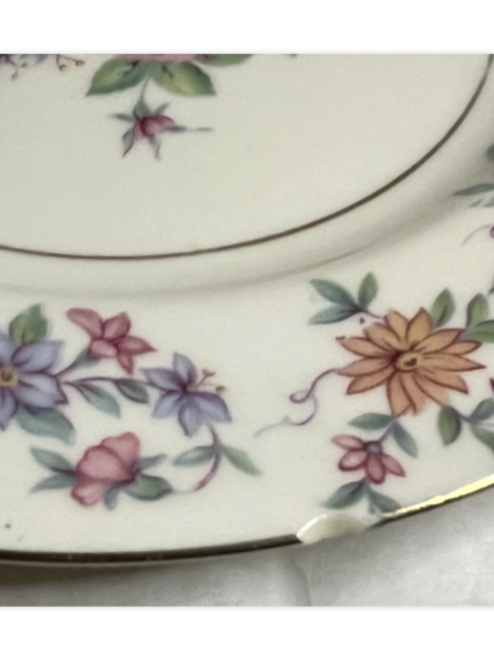 Vintage Theodor Haviland "Springtime" (New York) Salad Plate 7 1/2" set of 8 - Picture 9 of 16
